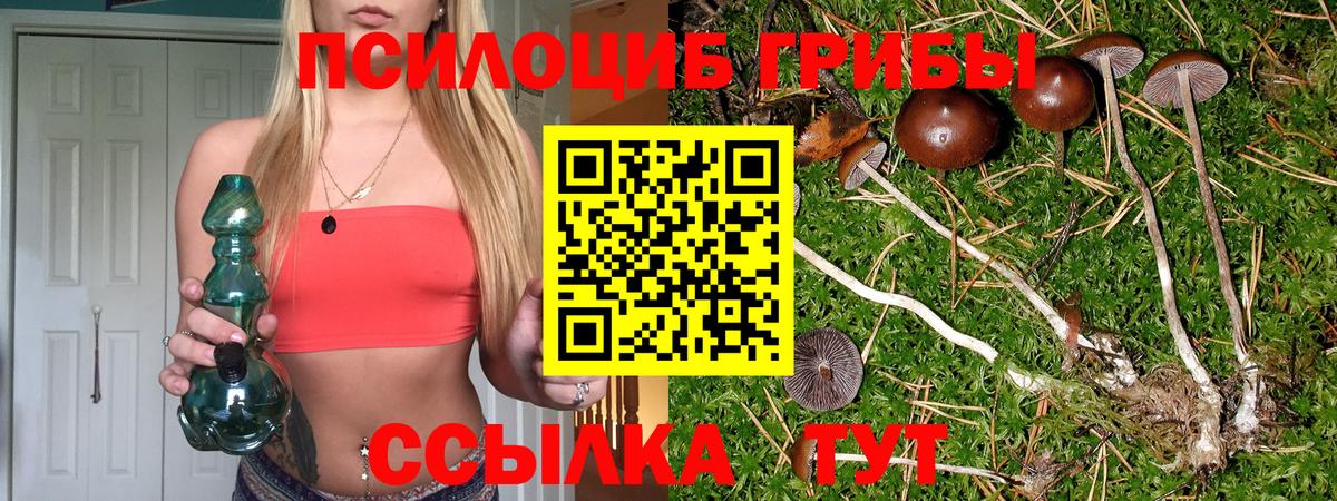 Галлюциногенные грибы Psilocybe  Галлюциногенные грибы Magic Shrooms  цены наркотик  Вход с VPN  Тулун 